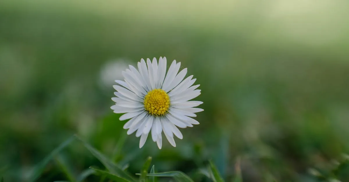 Drain Cleaning project #1 in Cerritos, CA by Emergency Plumbing Fix
